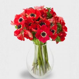 buchet flori anemone in vaza